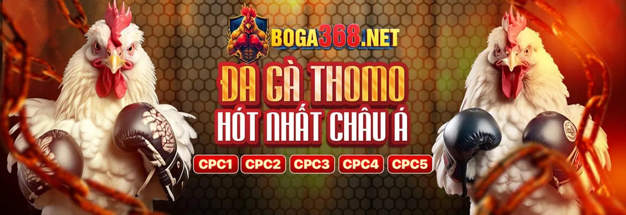 Xác nhận điều khoản và hoàn tất đăng ký 33winn nhà cái